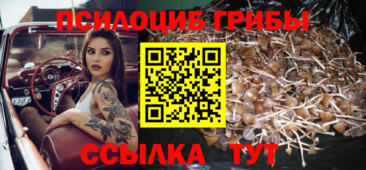 Казань  Псилоцибиновые грибы GOLDEN TEACHER  Вход с VPN 